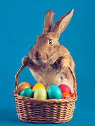 Similar image 9390609