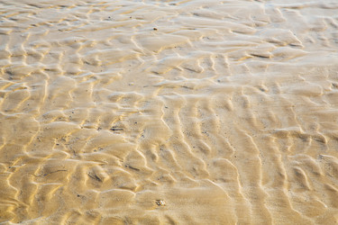 Similar image 9390721