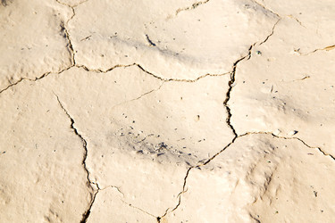 Similar image 9390729