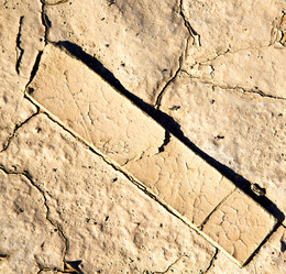 Similar image 9390932