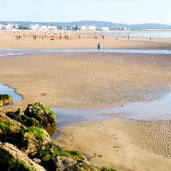 Similar image 9390956