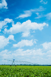 Similar image 9391000