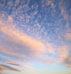 Similar image 9392042