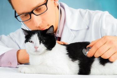 Similar image 9392157