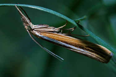 Similar image 9392271