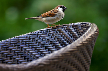 Similar image 9392308