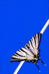 Similar image 9392559