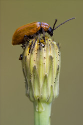 Similar image 9392750