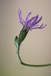 Similar image 9392758