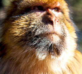 Similar image 9392956