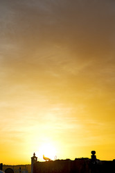 Similar image 9393873