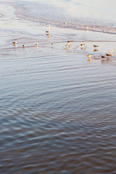 Similar image 9394313