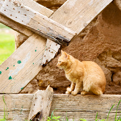 Similar image 9394444