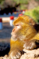 Similar image 9394446