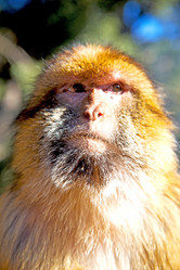 Similar image 9394515