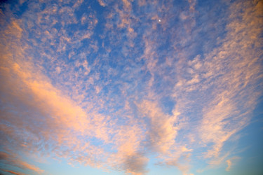 Similar image 9394843