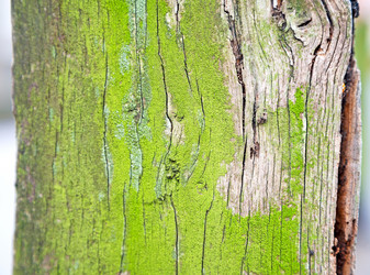 Similar image 9395037