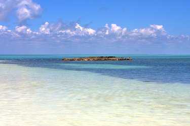 Similar image 9395064