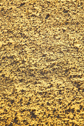 Similar image 9395443