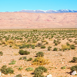 Similar image 9395773