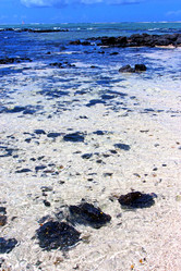 Similar image 9397008