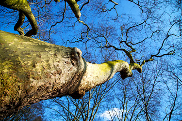 Similar image 9397019