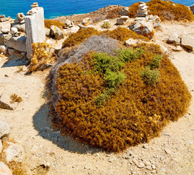 Similar image 9397030