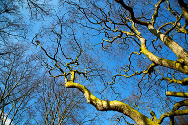 Similar image 9397032