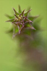 Similar image 9397478