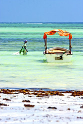 Similar image 9397481