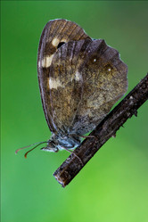 Similar image 9397483