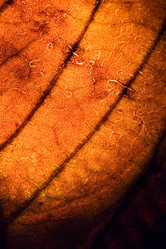 Similar image 9397487