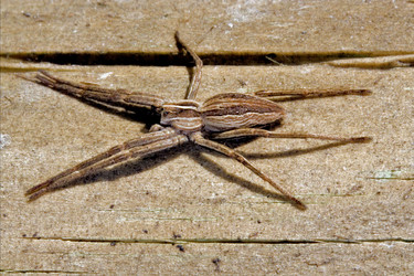 Similar image 9397659