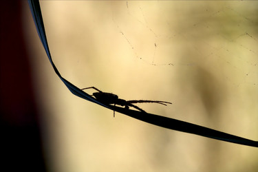 Similar image 9397680