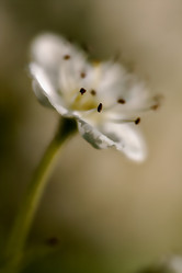 Similar image 9397688