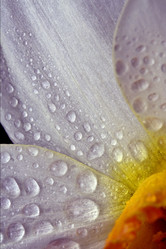 Similar image 9397691