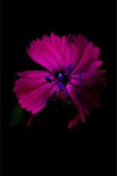 Similar image 9397877