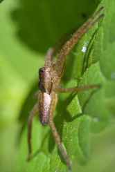 Similar image 9397879