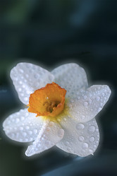 Similar image 9397881