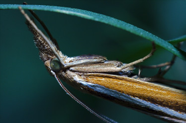 Similar image 9397885