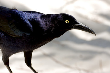 Similar image 9397888