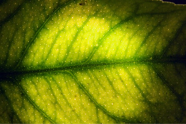 Similar image 9397901