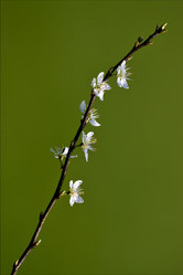 Similar image 9397905