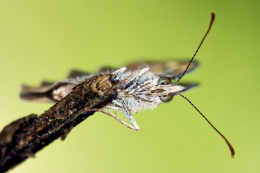 Similar image 9398131