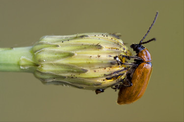 Similar image 9398140