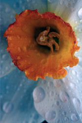 Similar image 9398172