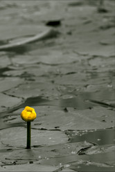 Similar image 9398233