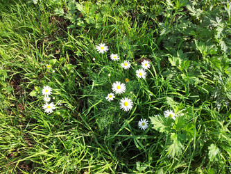 Similar image 9398242