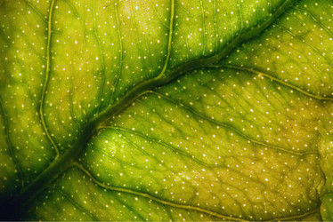 Similar image 9398365