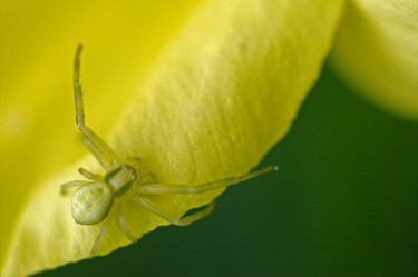 Similar image 9398387